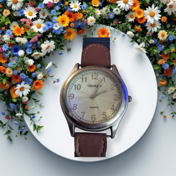 Chariot Mens Watch Large Dial New band Stylish Classic Corpcore New Battery - Picture 2 of 8